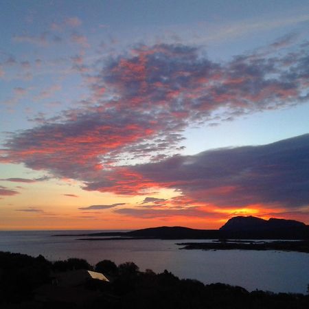 Domus De Rocas Holiday House Porto Rotondo Zewnętrze zdjęcie