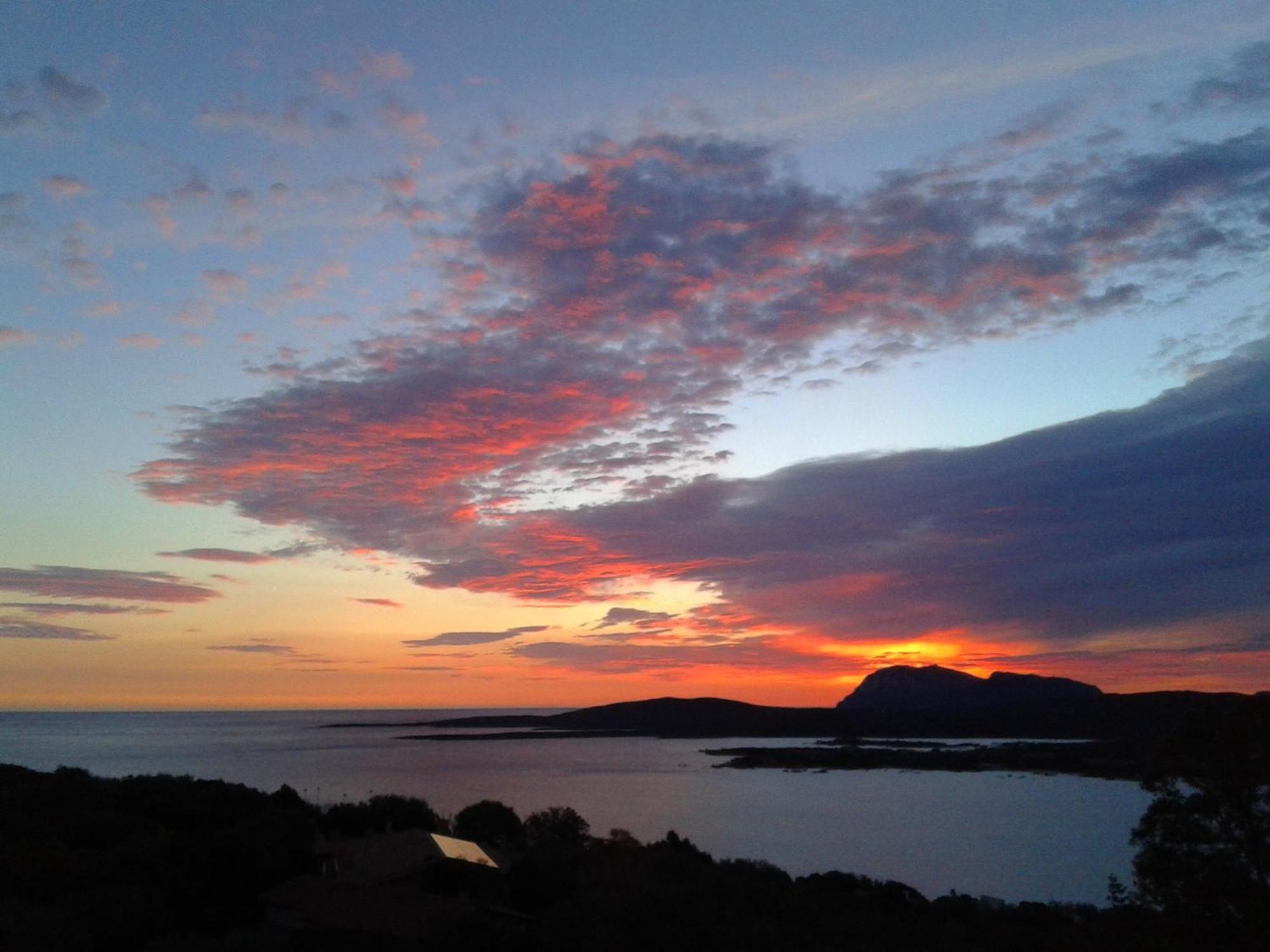 Domus De Rocas Holiday House Porto Rotondo Zewnętrze zdjęcie