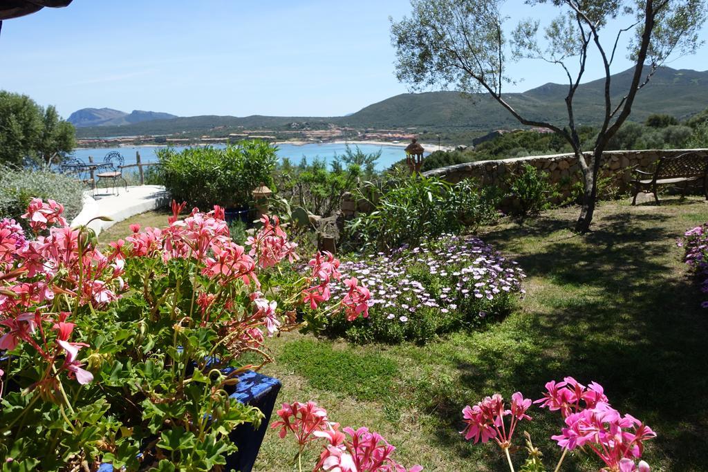 Domus De Rocas Holiday House Porto Rotondo Zewnętrze zdjęcie